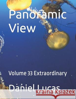 Panoramic View: Volume 33 Extraordinary Daniel Lucas 9798363480140