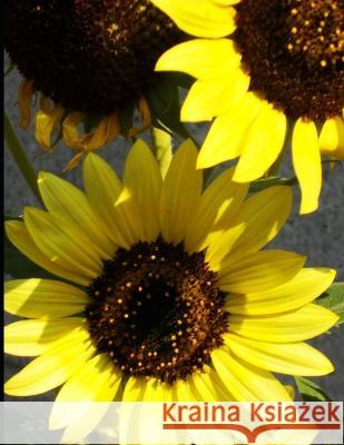 More New Mexico Sunflowers Bobby J Jones 9798364519948 Independently Published