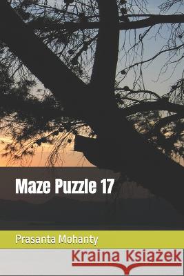 Maze Puzzle 17 Prasanta Mohanty 9798365033955