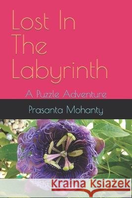 Lost In The Labyrinth: A Puzzle Adventure Prasanta Mohanty   9798377009511