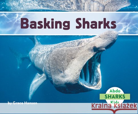 Basking Sharks Hansen, Grace 9798384909903