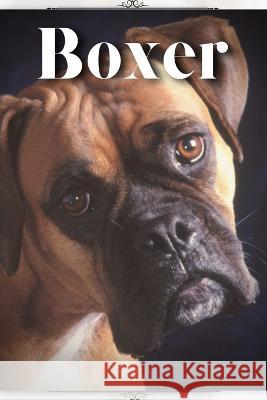 Boxer: Dog breed overview and guide Nina Pustova   9798396318472 Independently Published