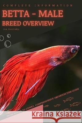 Betta - male: From Novice to Expert. Comprehensive Aquarium Fish Guide Iva Novitsky   9798397118026 Independently Published