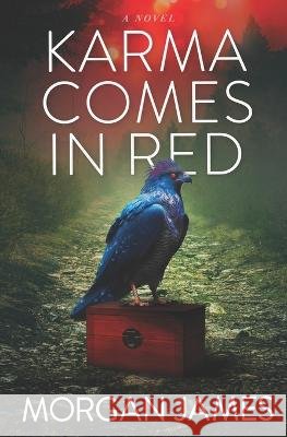 Karma Comes In Red, The Beyond Mysteries Book 4 Morgan James   9798397753173