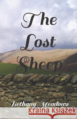 The Lost Sheep Bethany Meadows   9798398143850 Independently Published