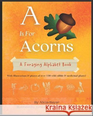 A Is For Acorns: A Foraging Alphabet Book Toria Bayer Gabe Neegaard Alicia Bayer 9798398613988