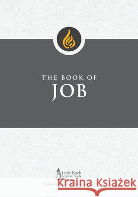 Book of Job Kathleen M O'Connor 9798400801297