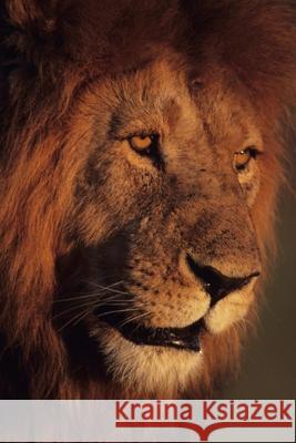 Lion Drawing Book Part 1 Gaur Gyan Prakash Gaur 9798402571938