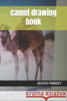 camel drawing book PANDEY ASHISH KUMAR PANDEY 9798410146050