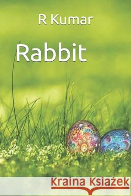 Amazing Rabbit drawing book R Kumar 9798416430887 Independently Published