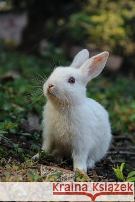 RABBIT drawing book KUMAR RAMAN KUMAR 9798418001061