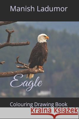 Eagle: Colouring Drawing Book Ladumor, Manish 9798421071341