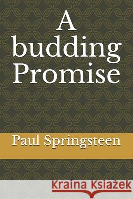 A budding Promise Paul Springsteen 9798460257089