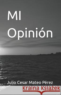 Opinión Julio Cesar Mateo Pérez 9798471545441