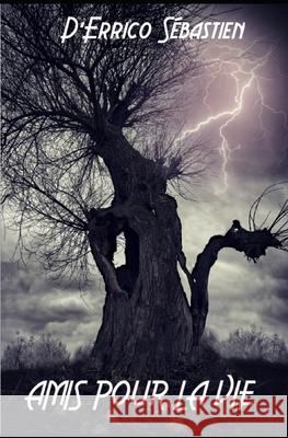 Amis Pour La Vie Sebastien D'Errico 9798474635934