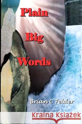 Plain Big Words Brian C Felder 9798481219820