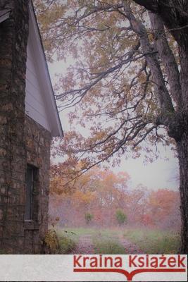 The Long Forgotten Amy Armbruster 9798490642015 Independently Published