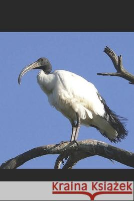 The High Priestess Danica Lavey 9798514713707 Independently Published