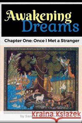 Awakening Dreams: Once I Met a Stranger White, Sarah 9798526344616