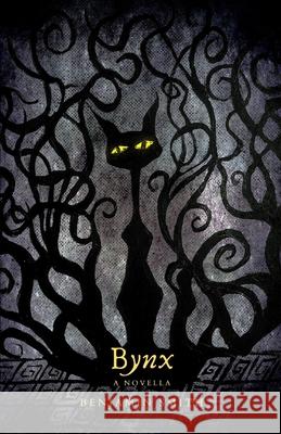 Bynx: a novella Benjamin Smith 9798526429542 Independently Published