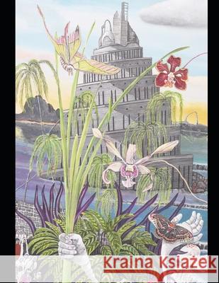 The Fair Kingdom of Astragarden: Magic Adventure Romance John Oliver Berenguel 9798531073105