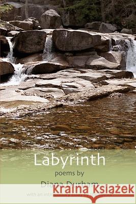 Labyrinth: Poems Diana Durham 9798533892858