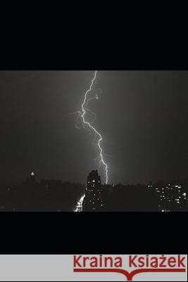 My MS and Ocrevus Journey James P Harmon 9798547278884