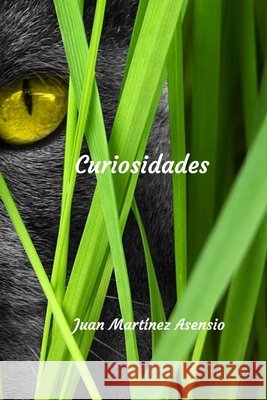 Curiosidades Juan Martínez Asensio, Juan Martínez Asensio 9798552249282