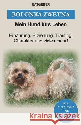 Bolonka Zwetna: Erziehung, Training und Charakter von Bolonka Zwetna Mein Hund Furs Leben Ratgeber   9798564337847 Independently Published