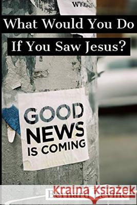What Would You Do If You Saw Jesus? Levine Bernard Levine 9798564699624