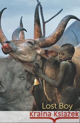 Lost Boy Ellis Amdur 9798581526651 Independently Published