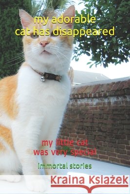 my adorable cat has disappeared: my little cat was very special Stories, Immortal 9798597381022