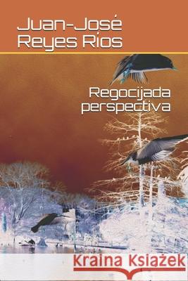 Regocijada perspectiva Juan-José Reyes Ríos 9798605126478