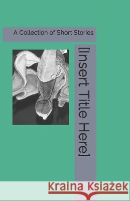 [Insert Title Here]: A Collection of Short Stories Klein, Kimberley S. 9798610754208 Independently Published