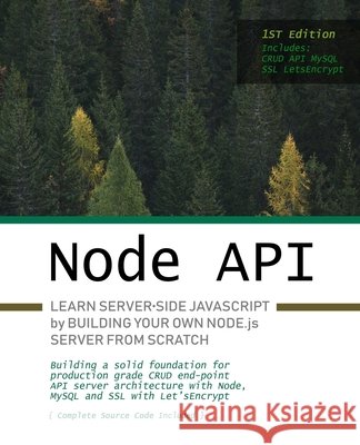 Node.js API: Learn server-side JavaScript by building your own Node.js server from scratch Sidelnikov, Greg 9798612529583 Independently Published