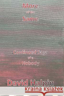 More of the Same: Continued Saga of a Nobody David Bruce Halpin 9798617512825