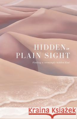 Hidden in Plain Sight: Finding a Seemingly Hidden God Pillay, Nash 9798634178240