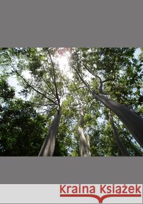 Beyond the Summer Grass Andrea McKenzie Raine   9798634365732