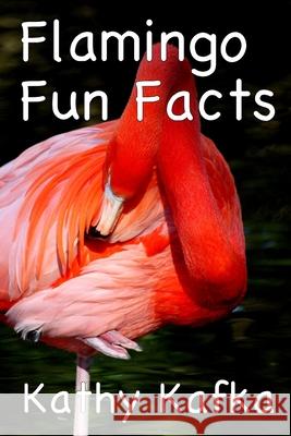 Flamingo Fun Facts Kathy Kafka 9798635686607 Independently Published