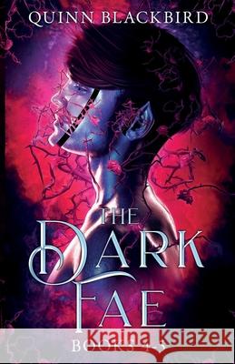 The Dark Fae: A Dark Paranormal Romance Quinn Blackbird 9798646974670