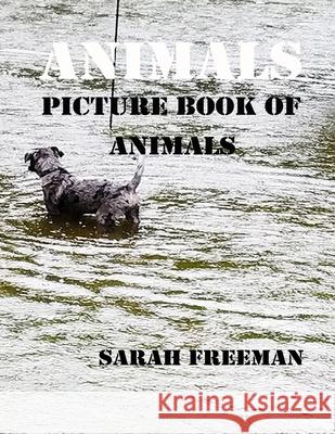 Animals Sarah Freeman 9798648171756