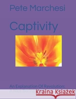 Captivity: An Explanation Of Revolution: A Nice Boring Book Pete Marchesi 9798651978052