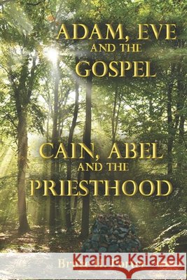 Adam, Eve and the Gospel Cain, Abel and the Priesthood Porter, Bruce H. 9798657072570