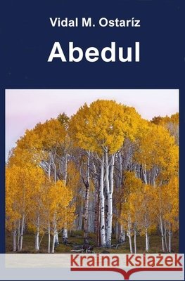 Abedul Vidal M Ostaríz 9798664191318