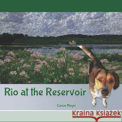 Rio at the Reservoir Meyer, Cassie 9798671038415
