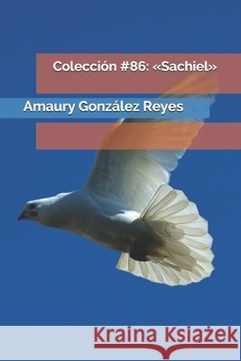 Colección #86: Sachiel González Reyes, Amaury 9798674125099 Independently Published