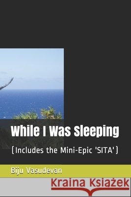 While I Was Sleeping: (Includes the Mini-Epic 'SITA') Vasudevan, Biju 9798680451021