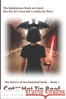 Cat and the Hot Tin Roof David Wallace   9798683019181 Independently Published