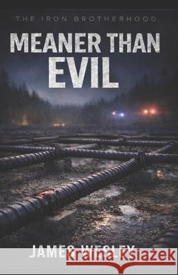 Meaner Than Evil James Wesley 9798694995238