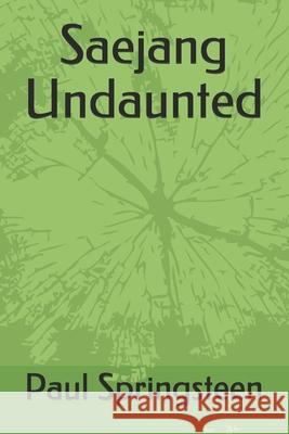 Saejang Undaunted Paul Springsteen 9798708151971